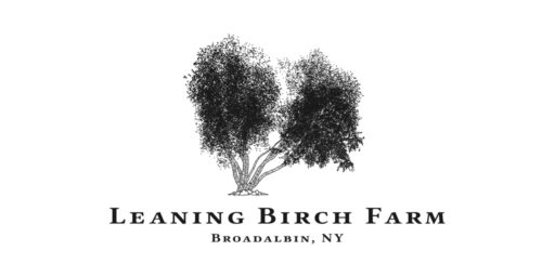 Leaning Birch Farm